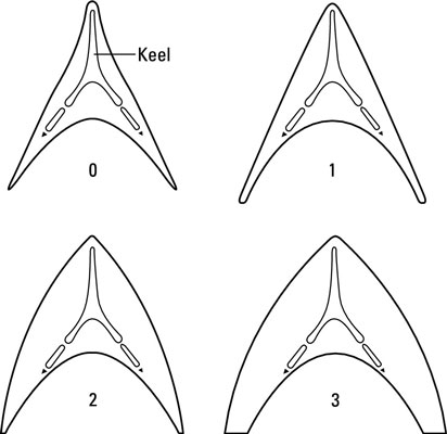 image0.jpg