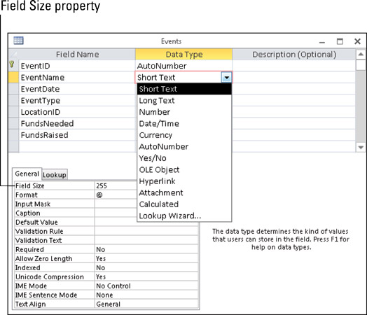 Choosing a data type and field size.