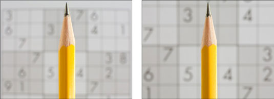 <b>Focal length affects the relationship between your subject and your background. </b>