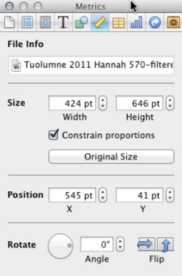 iBooks Author's Metrics inspector.