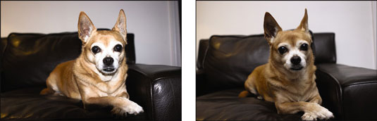 An example of using a built-in flash (left) as compared to using a built-in flash with an attached