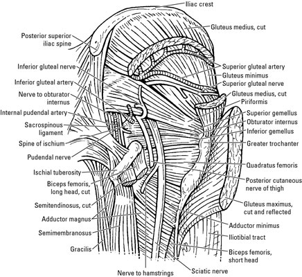 image0.jpg