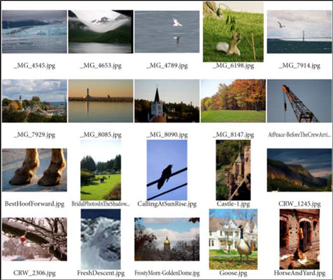 To maintain image orientation, don’t use the Rotate for Best Fit option.