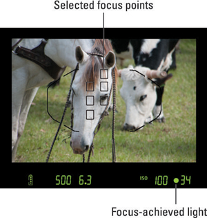 When you photograph stationary subjects, the green focus indicator lights when the camera locks foc