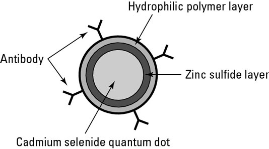 image0.jpg