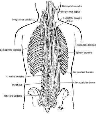 image0.jpg