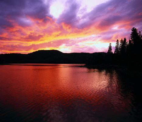 image1.jpg
