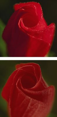 image0.jpg