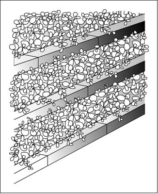 image0.jpg