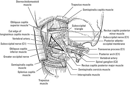 image1.jpg