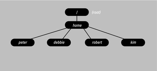 image0.jpg