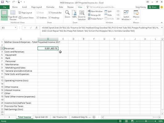 The Total Income worksheet after I create a SUM formula to total projected revenues for all the Mot