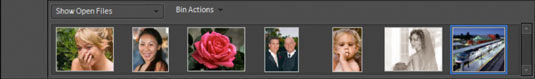 All open pictures and new views are displayed as thumbnails in the Project Bin.