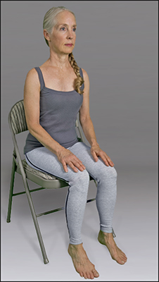 <b>Figure </b><b>1</b><b>:</b> Seated chair posture.