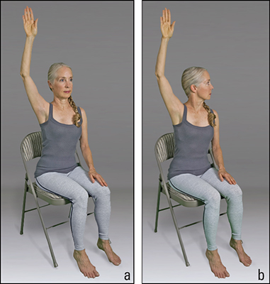 <b>Figure </b><b>2</b><b>:</b> Seated alternate arm raise sequence.