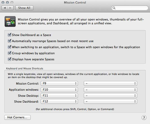 Tweak the operation of Mission Control from this pane.
