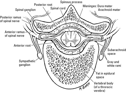 image0.jpg