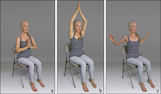 <b>Figure </b><b>4</b><b>:</b> Wing-and-prayer sequence.