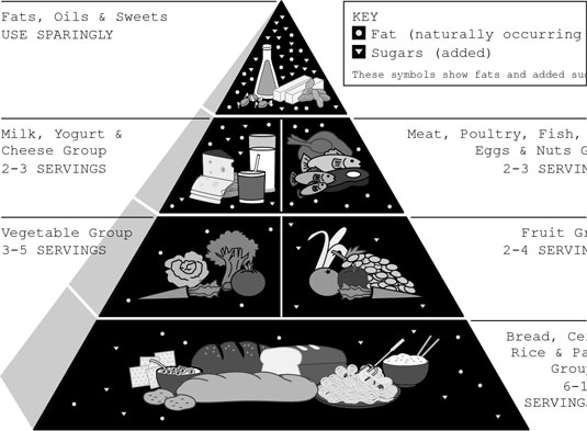 Your grocery cart should reflect the proportions shown on the Food Pyramid.