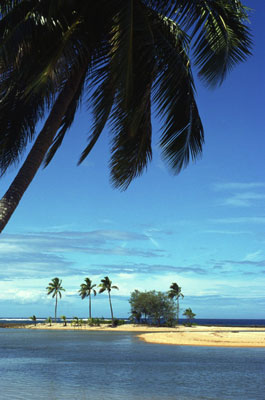image1.jpg