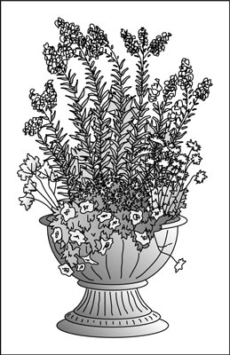 image0.jpg