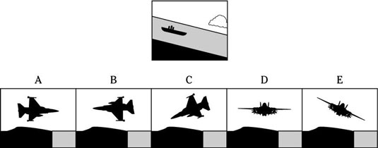 image4.jpg