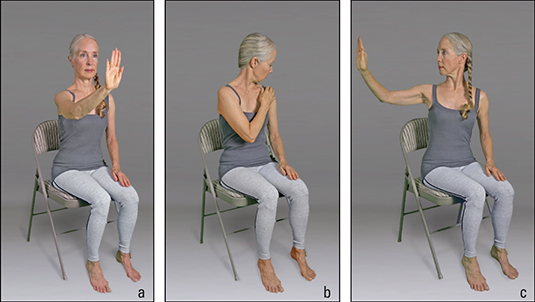 <b>Figure </b><b>5</b><b>:</b> Mirror-on-the-hand sequence.