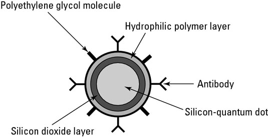 image0.jpg