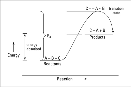 endothermic reaction examples