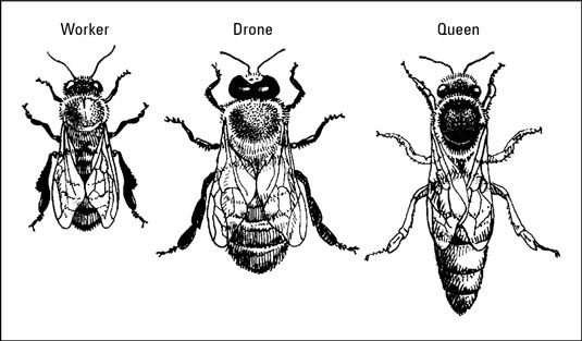 image0.jpg