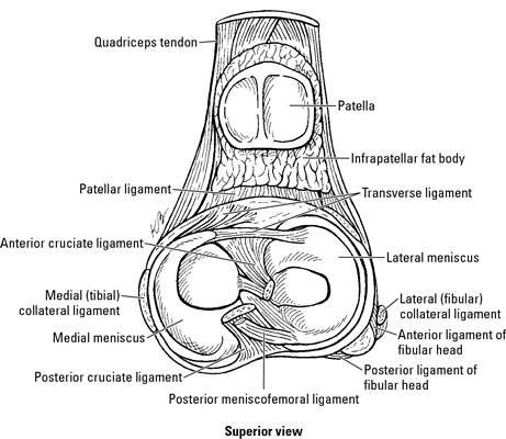image0.jpg