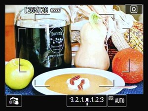 Figure 2: Picture data is superimposed over the live preview.