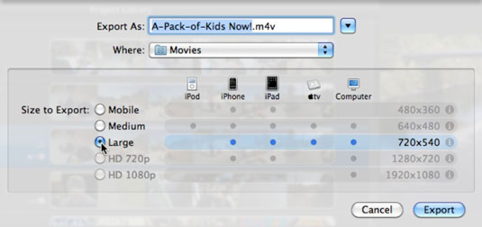 Save the video project as a movie file.