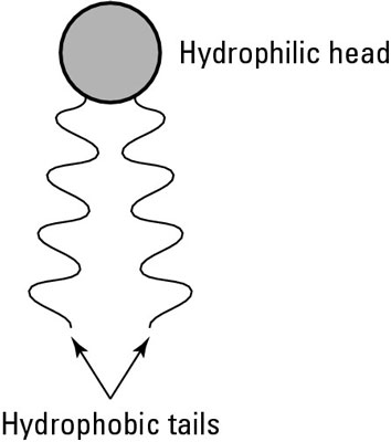 image0.jpg