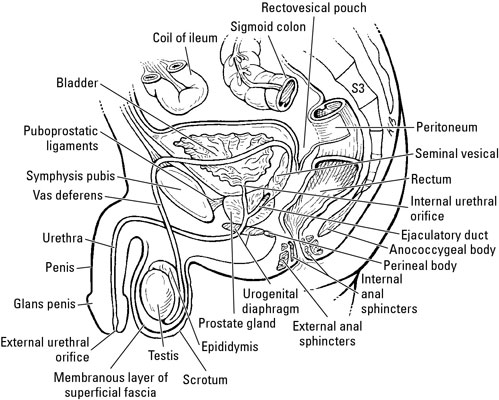 image0.jpg