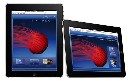 The Jelly Rancher jellyfish site features different designs for the horizontal and vertical views o