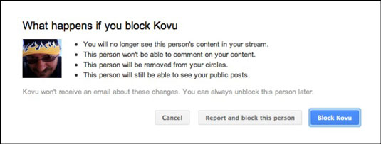 Options for blocking a user in Google+.