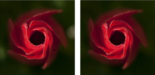 image0.jpg