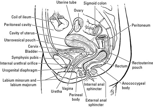 image0.jpg