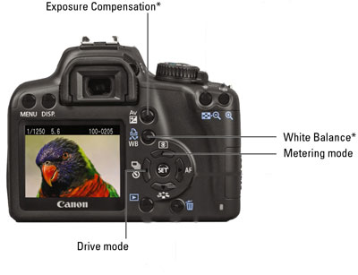 Some crucial controls on a Canon EOS Rebel XS/1000D.