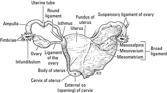 image1.jpg