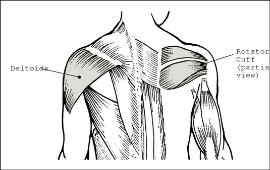 Rotator Cuff Workout