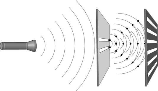 image1.jpg