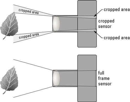 A smaller sensor creates the illusion of a more magnified image than that of a full-frame sensor.