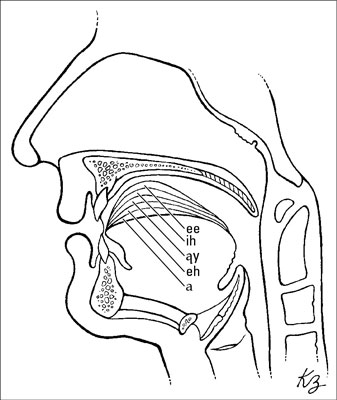 image0.jpg