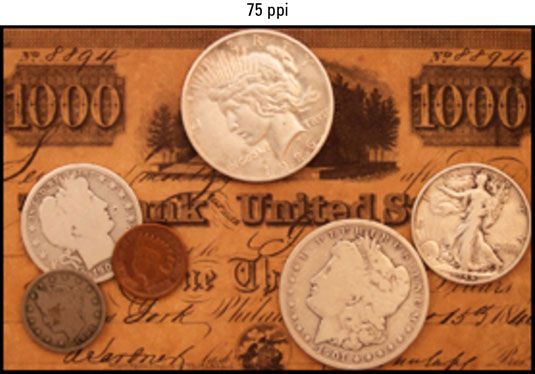 Reducing the resolution to 75 ppi really degrades the image.