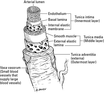 image0.jpg