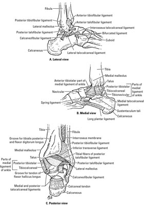 image0.jpg