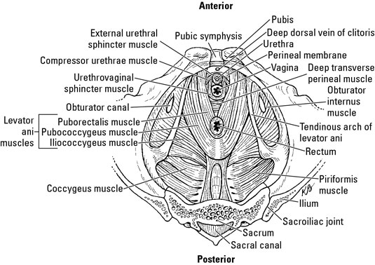 image0.jpg