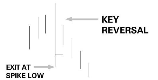 image1.jpg